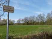 Vente terrains Sainte Olive