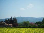 Vente terrains Dommartin