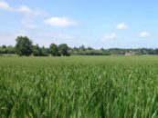 Vente terrains Dompierre sur Veyle