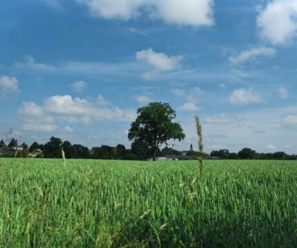 Saint Clément Sous Valsonne <br/>Saint Clément Sous Valsonne 