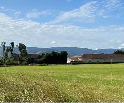 Savigny<br/>Savigny
