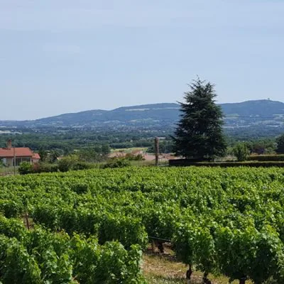 Nouvelle opération à Lucenay