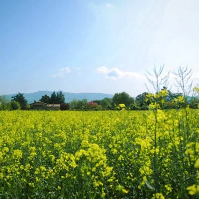 Découvrez Le Clos des Humberts à Dommartin