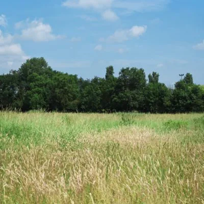 Découvrez Le Domaine des 5 Sens, dans la Dombes